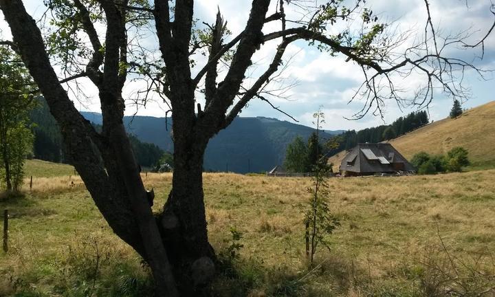 Hinterwaldkopfhütte